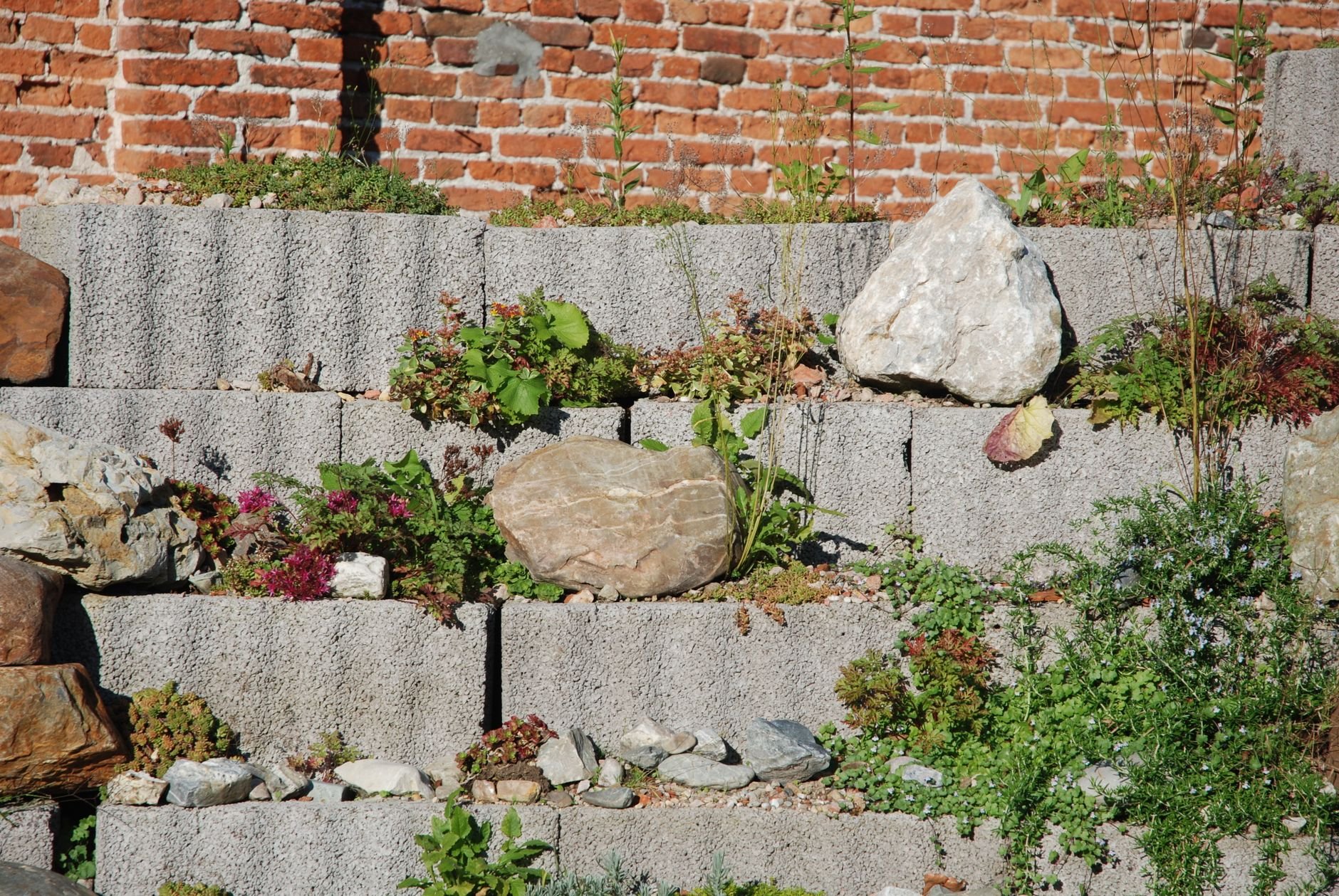A stepped stone terrace with lush plants and a brick wall backdrop