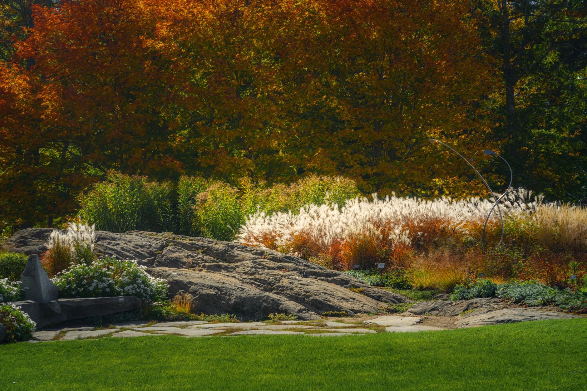 Stunning landscape with rocks, ornamental grasses, and colorful drought-tolerant plantings